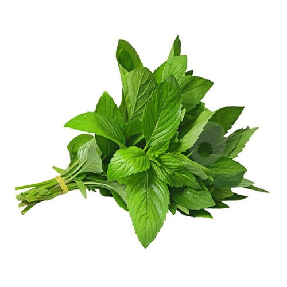 اضافة نعناع